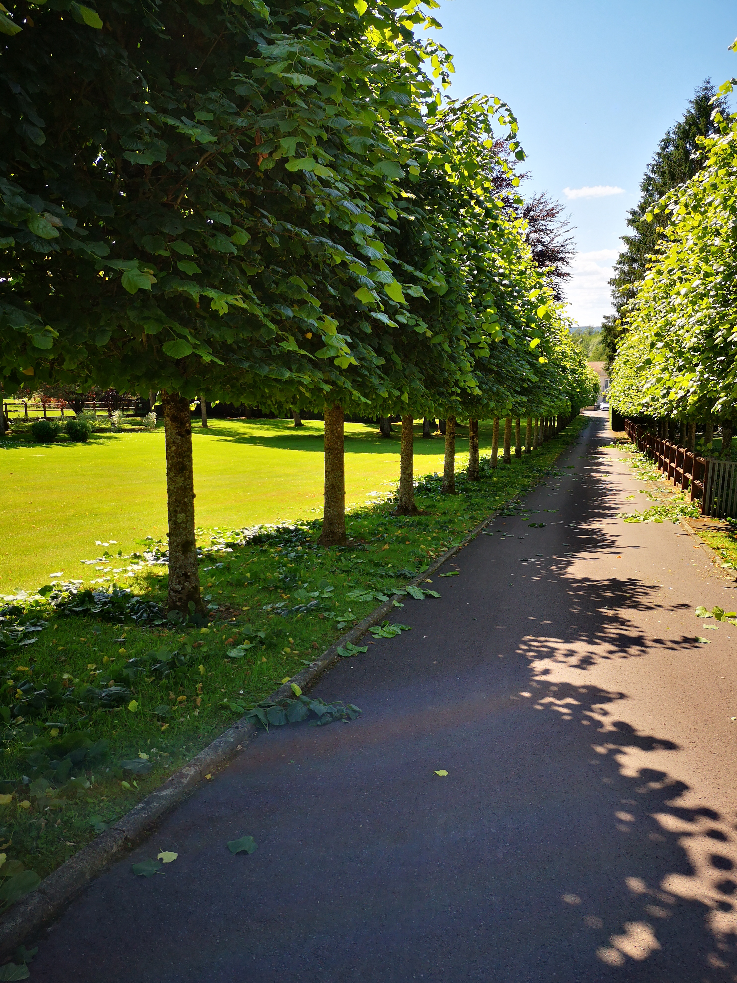 Allo Jardin Services