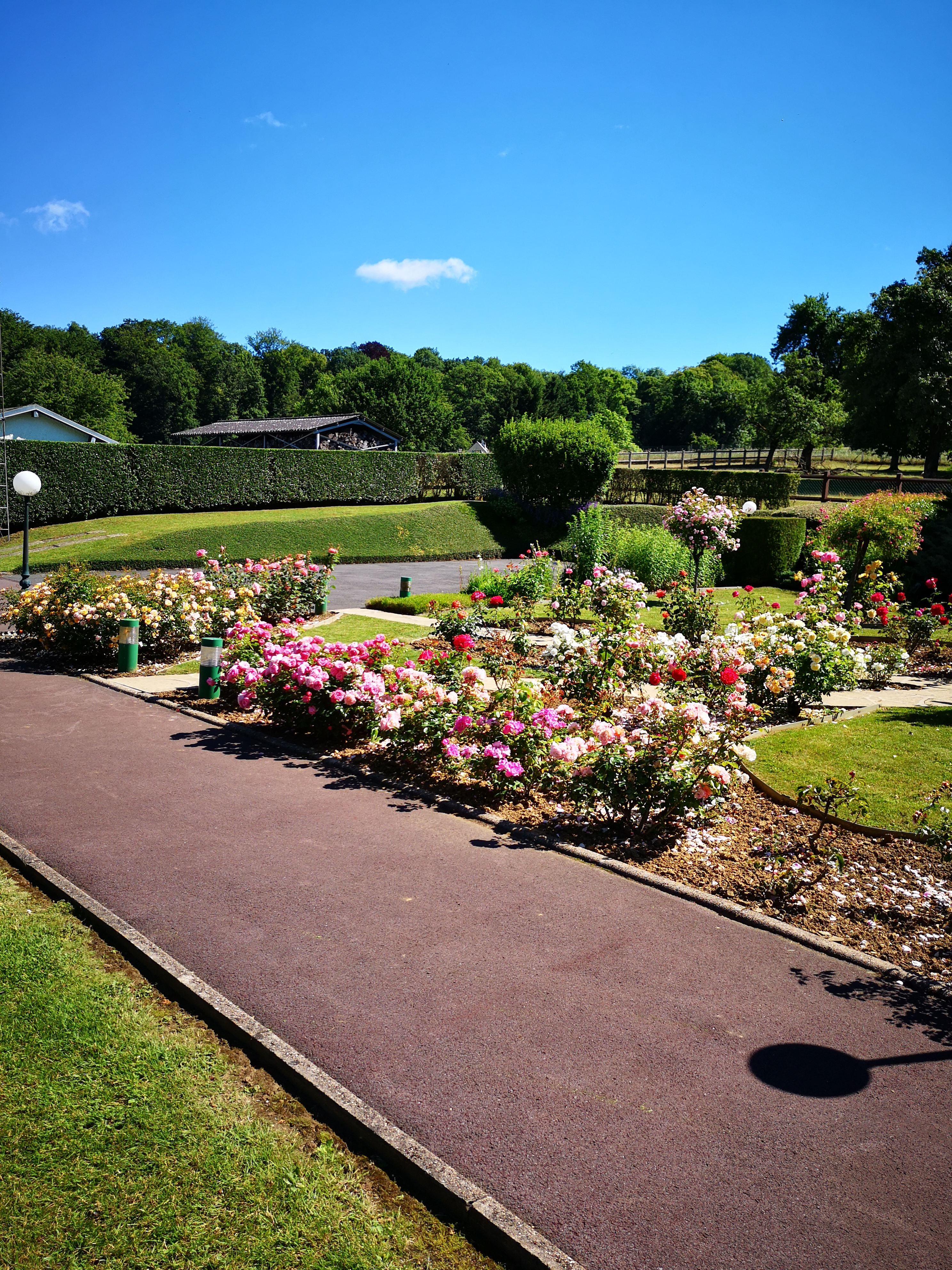 Allo Jardin Services