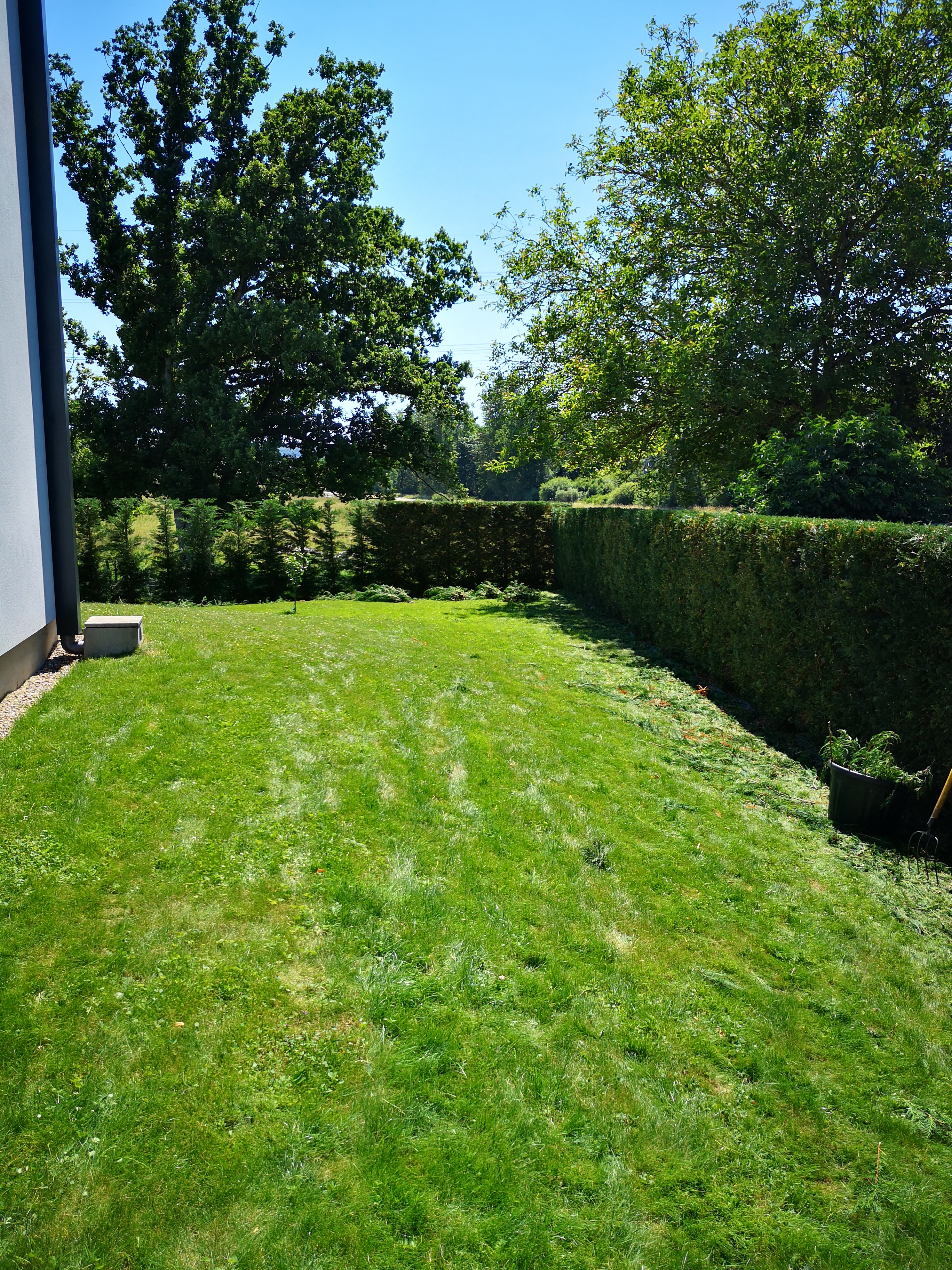 Allo Jardin Services